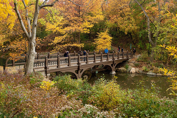 Bank Rock Bridge