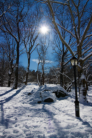 Winter Sun