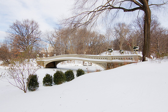 Snowy Bow Bridge