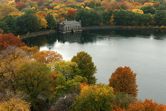 The Reservoir