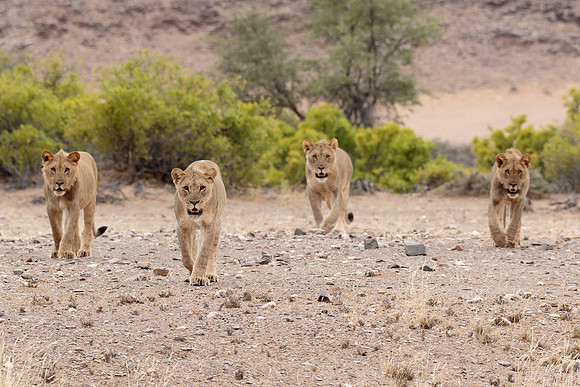 Namibia