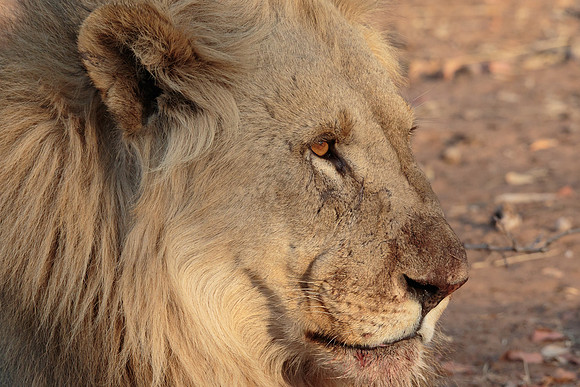 Namibia