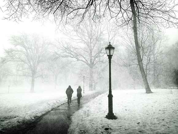 Central Park