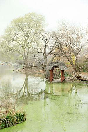 Misty Wagner Cove