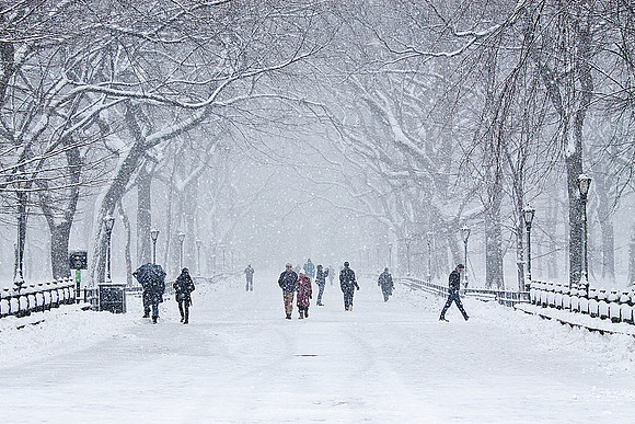 Winter Storm At The Mall