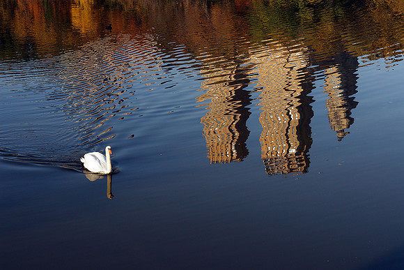 Swan Lake