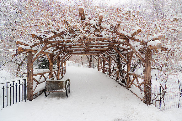 Snowy Central Park Trestle