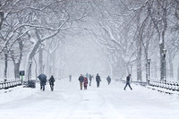 Winter Storm At The Mall
