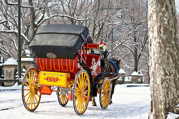 Winter Carriage